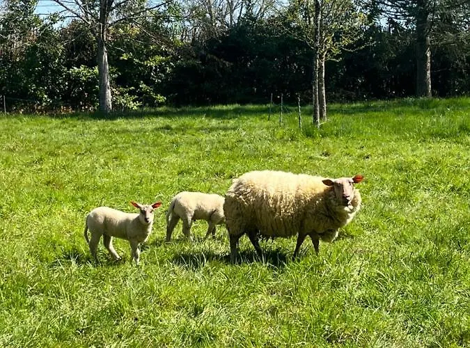 Les Grandes Hayes Oda ve Kahvaltı Coulonges-sur-Sarthe
